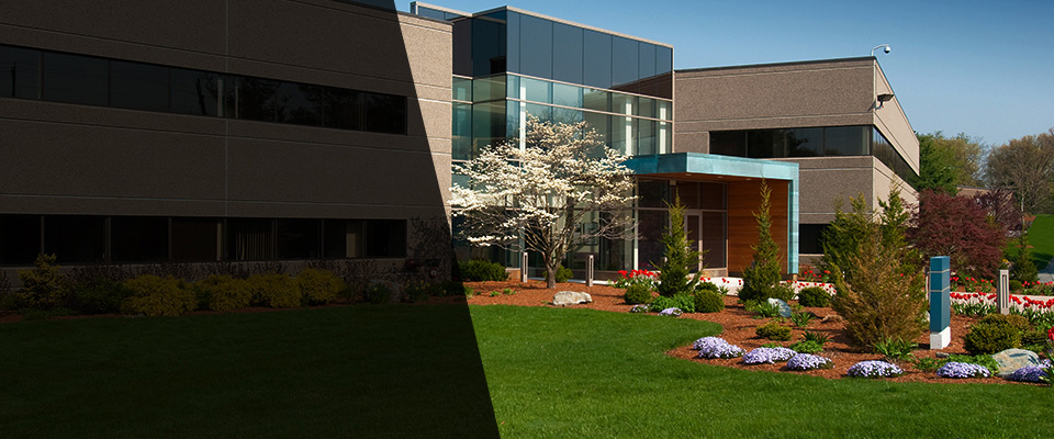 Soldotna Landscapers