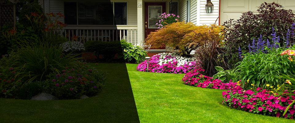Soldotna Landscapers
