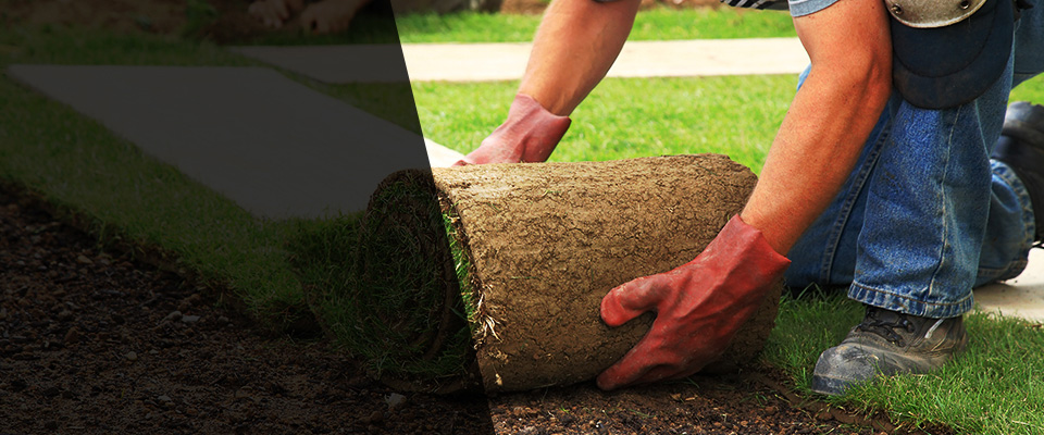 Soldotna Landscapers